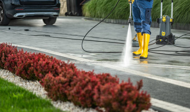 Best Driveway Pressure Washing  in South Ack, NY